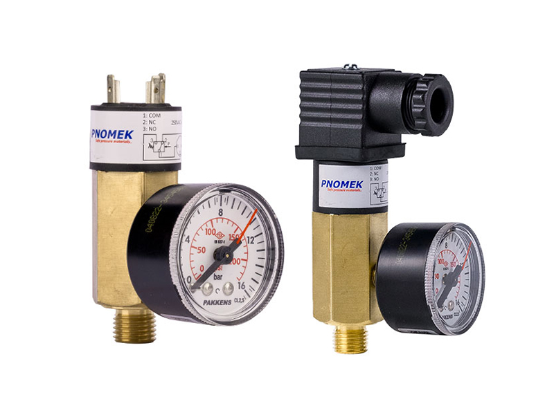 DSMYA3DAC012 DSM MONOMETRELİ BASINÇ ANAHTARI